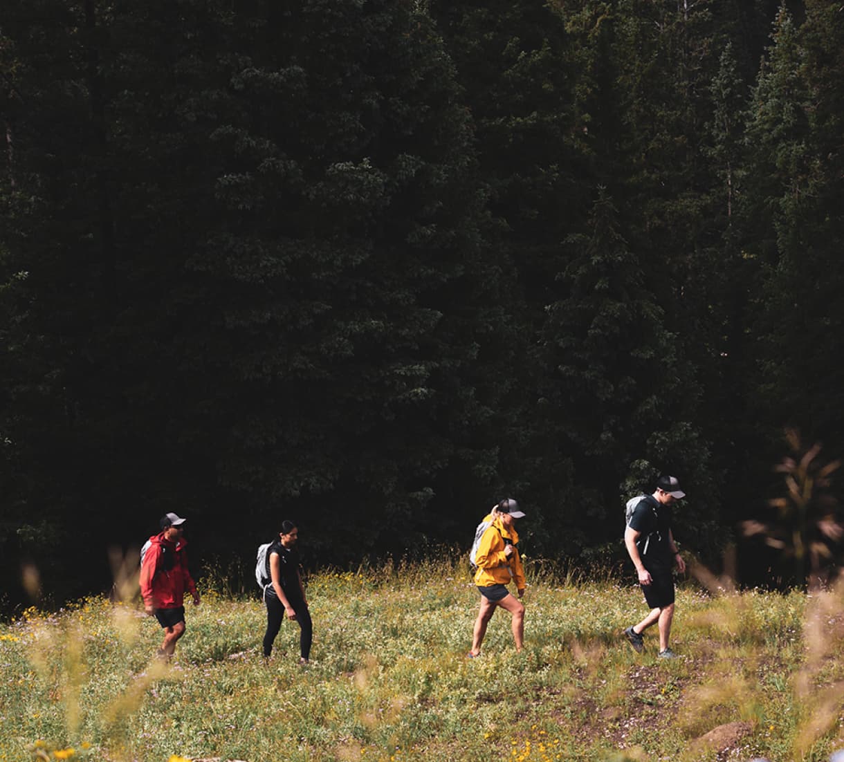 Client Case Study - RESET