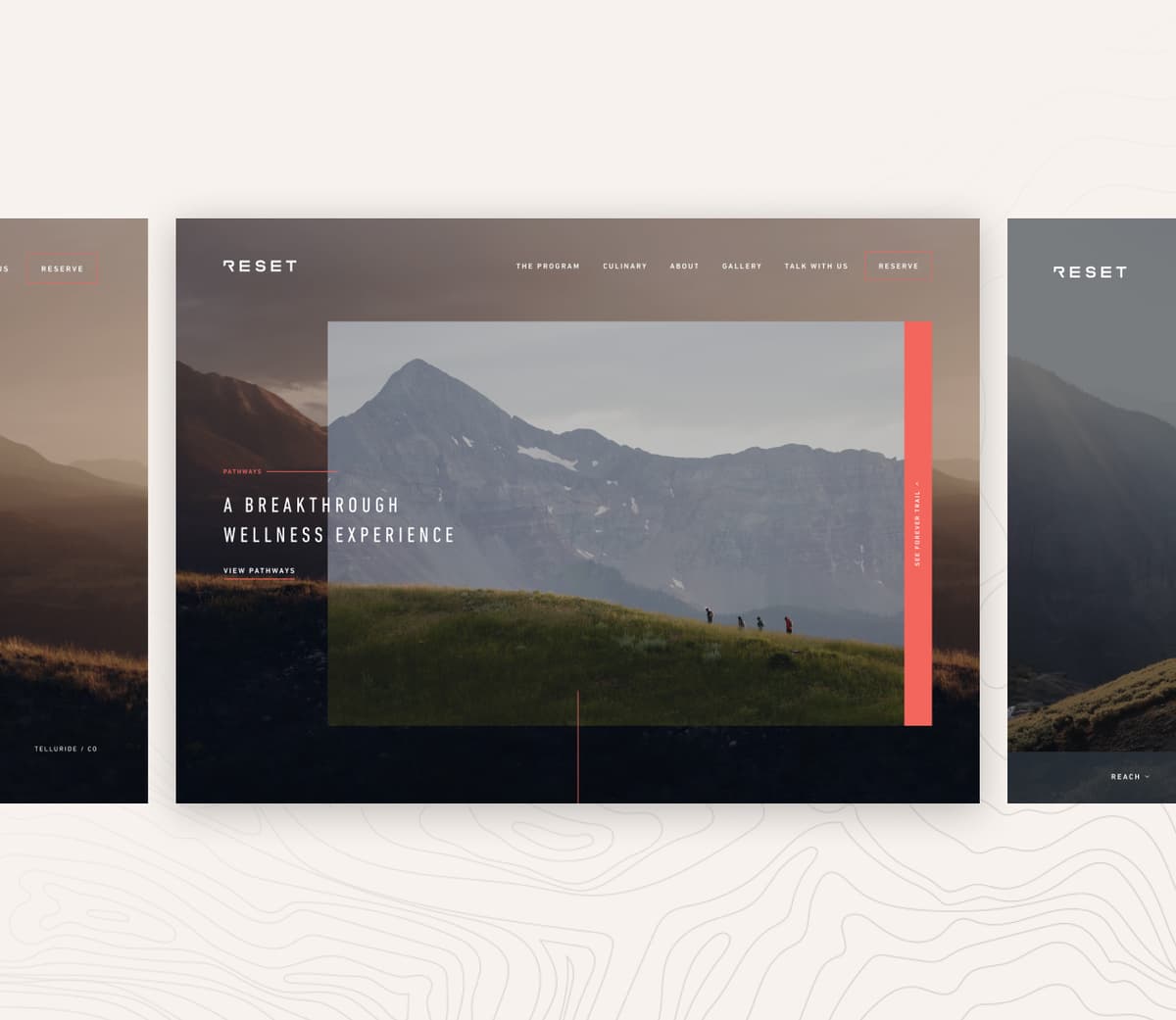 RESET website design showing the website homepage